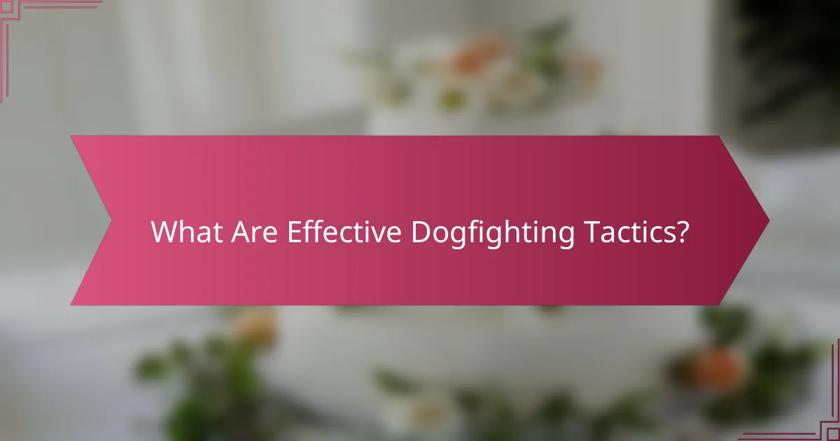 What Are Effective Dogfighting Tactics?