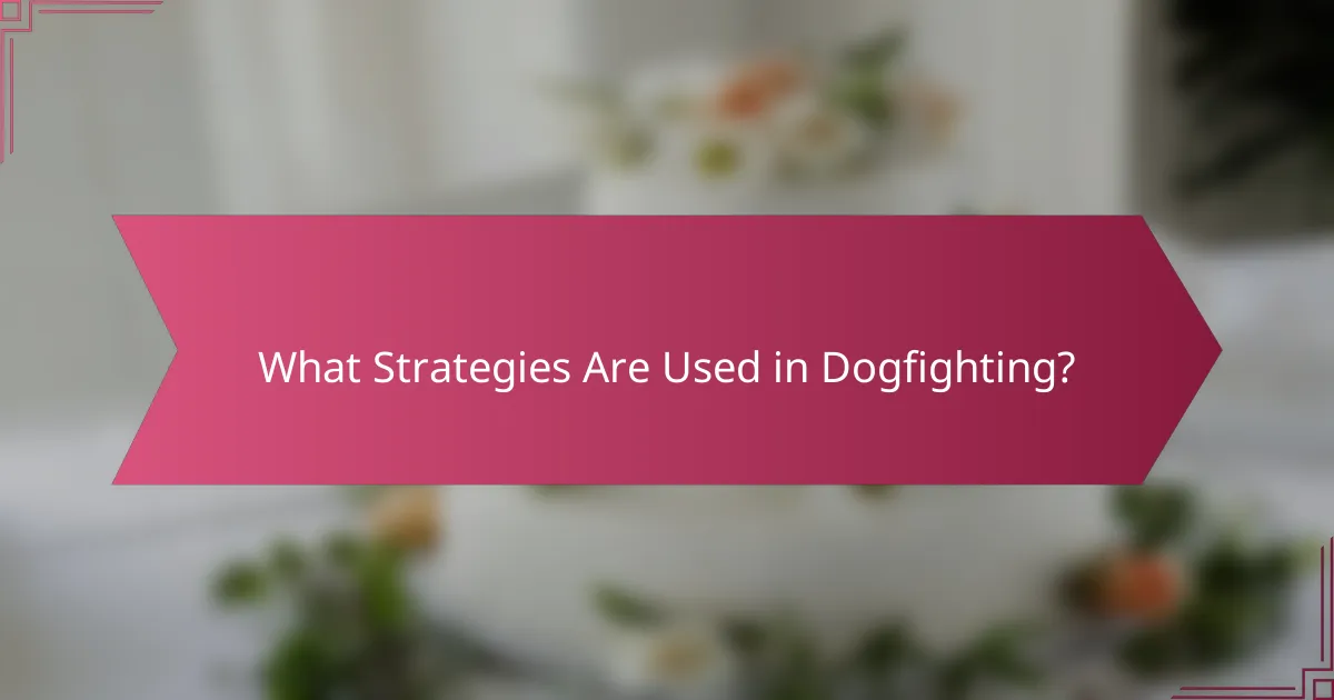 What Strategies Are Used in Dogfighting?