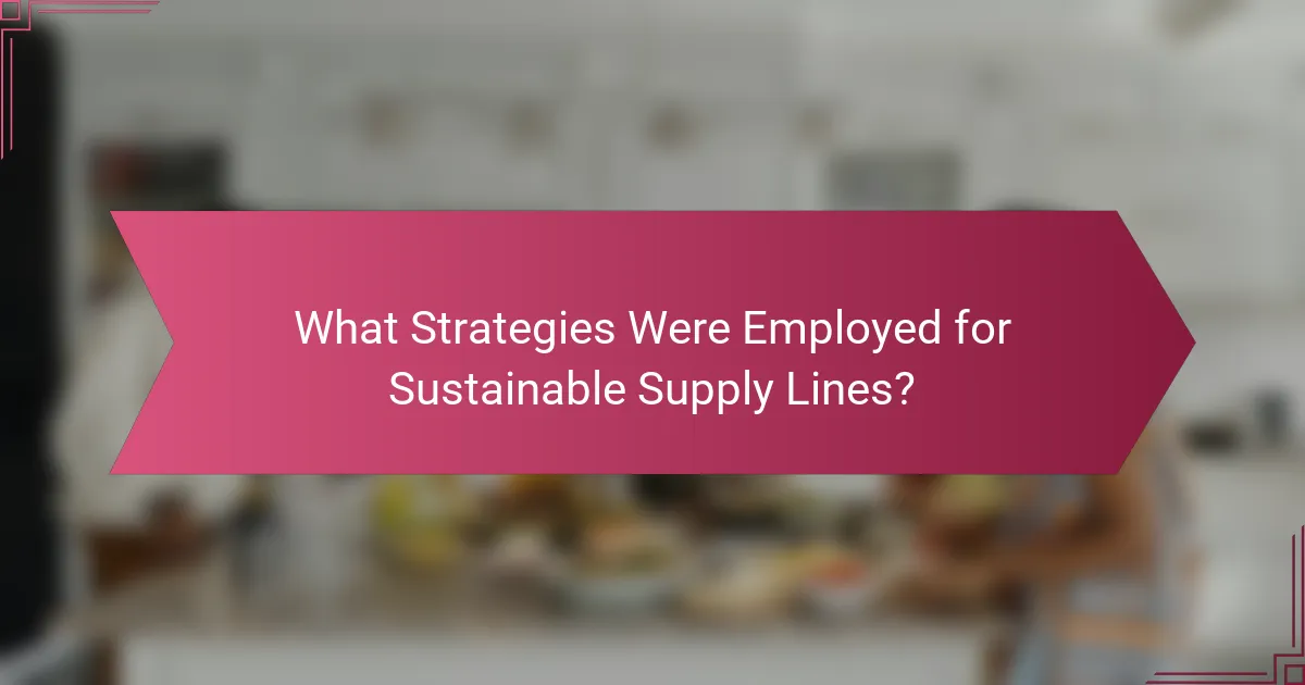 What Strategies Were Employed for Sustainable Supply Lines?